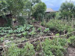 Diverse vegetable garden