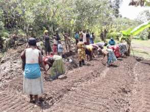 Group sowing, Kyabarungira