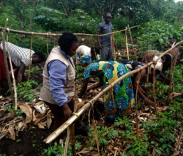Pest and disease management training