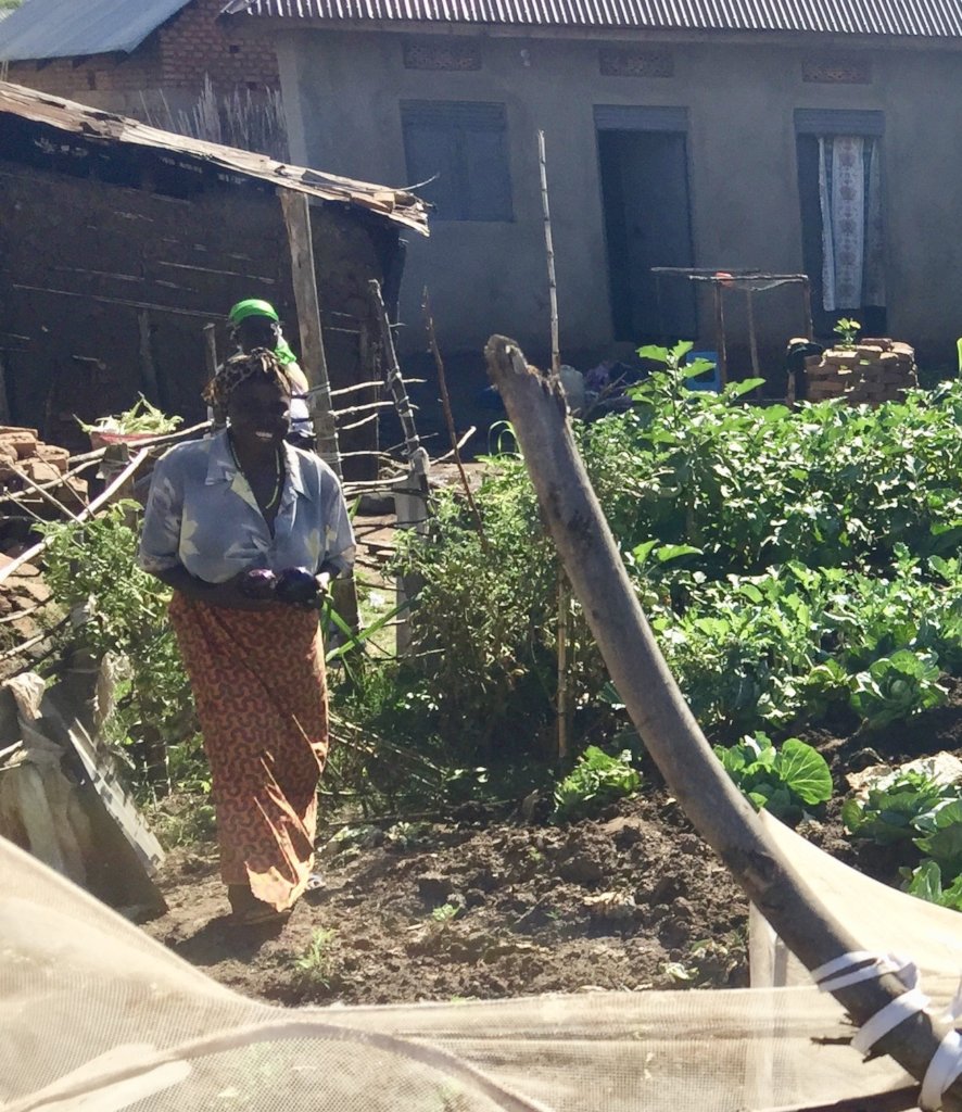 1,000 Women's Gardens for Health and Nutrition