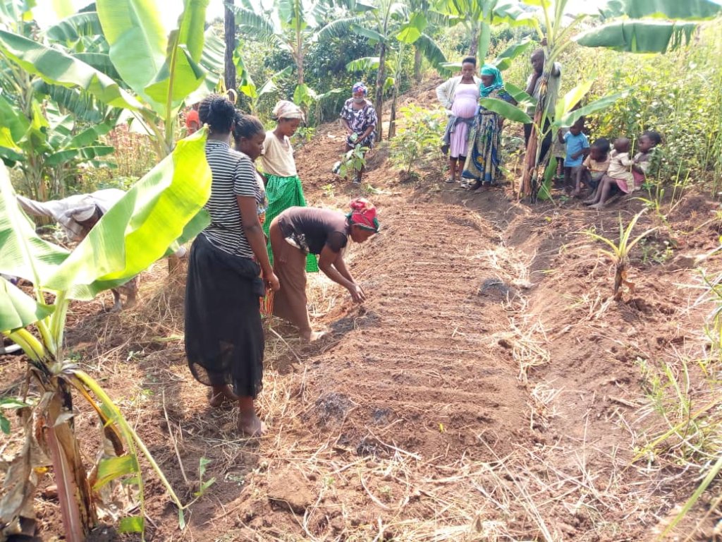 1,000 Women's Gardens for Health and Nutrition