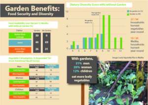 Nutrition Benefits of Kasese Gardens