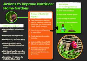Actions to Improve Nutrition Gardens in Kasese