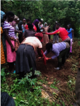 planting seeds