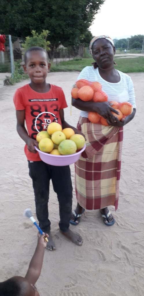 Grow Resilience in Covid impacted South Africa