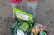Grow Resilience in Covid impacted South Africa