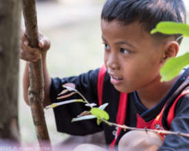 One of our children in our garden