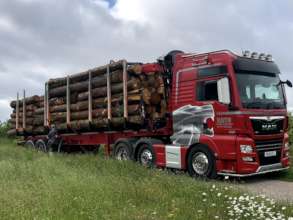 Harewood Forest logs, felled in February, arrive