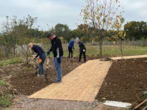 Raking the soil for flower seeding in early spring