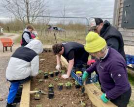 Planting the raised bed with wildflowers