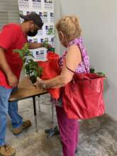 Participant receiving bag to grow home garden