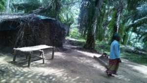 this is the kind of shelter IDPs have
