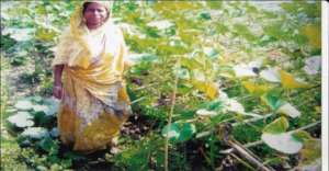 Gardenting by poor women