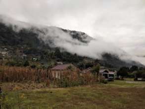 Maya Community