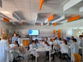 School activities to promote scientific vocations