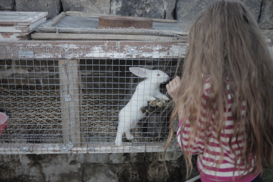 Women Empowerment of Northern Shirak, Armenia