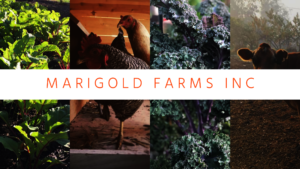Grow-A-Garden