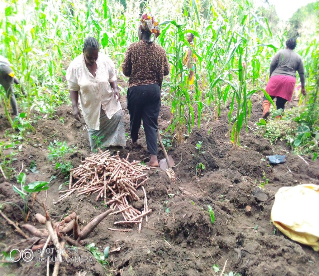 Combat Aphid Crop Damage And Land Grab In Mondoni