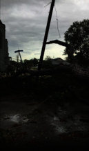 Large trees uprooted and powerlines snapped