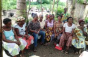 cassava's transformation into gari, tapioca, flour