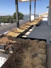 New Rooftop Garden To Be Rehabbed for Fresh Food