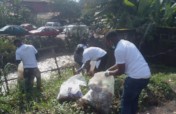 Beat the Bottle: Recycling Plastics to Lumber