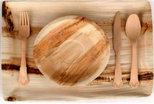 Disposable Areca Leaf Products