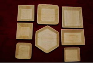 Disposable Areca Leaf Products