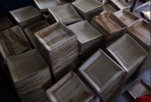 Disposable Areca Leaf Products