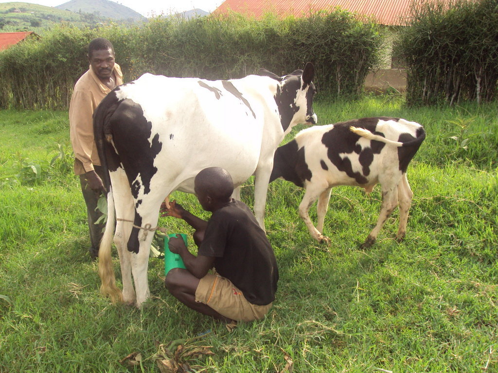 Empower 20 rural women in Nyabubare village Uganda