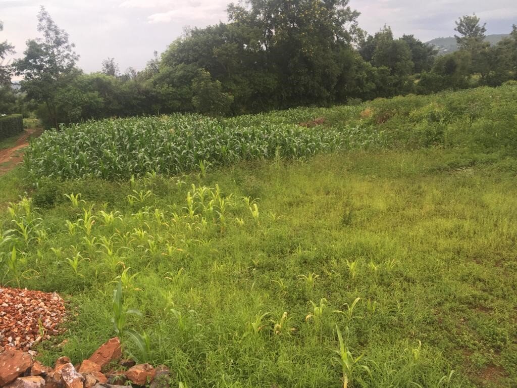 Community Library: Empowerment. Access. Education.