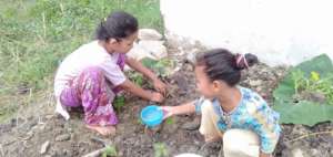 Children planting in the fields