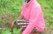Help Kenyan Farmers Plant 30,000  Trees