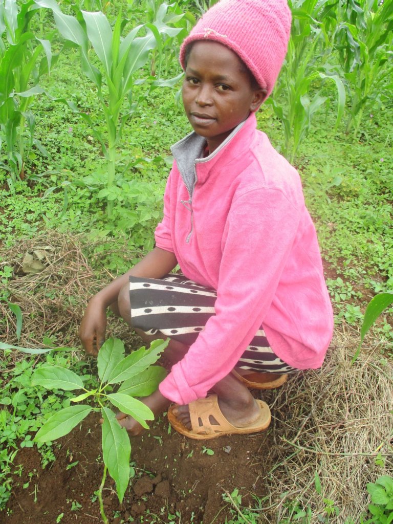 Help Kenyan Farmers Plant 30,000  Trees