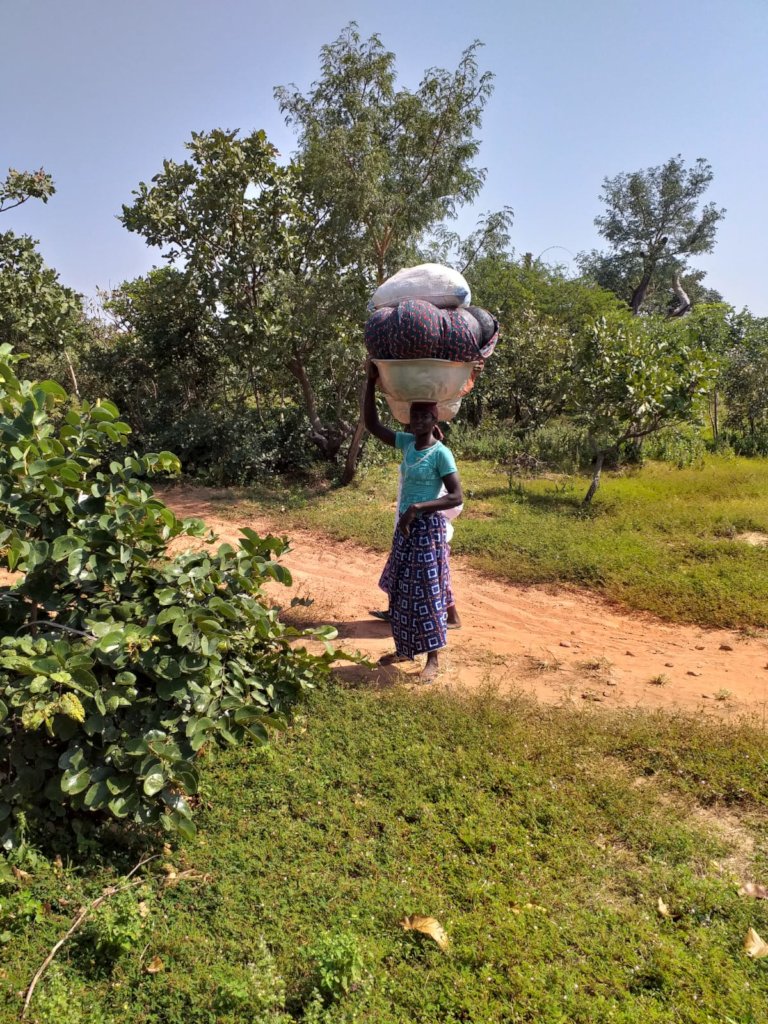 On the way to the market