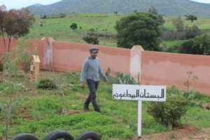 "Pedagogical Garden" a treasure the children love