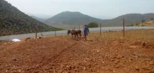 Working the Farm - The Seeds are Planted