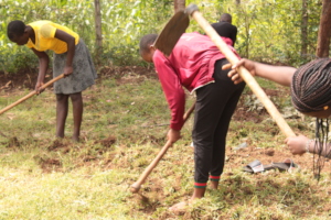 Scholarship students during  community service