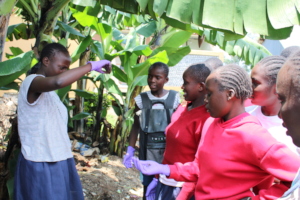 Akili Girls Learning about Vermicomposting