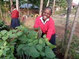 gardening at akili school