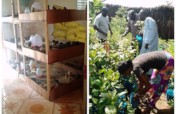 Empower women of Sabach on poultry& Agroforestry