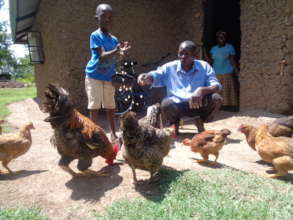 Henry Alobo-Poultry farm
