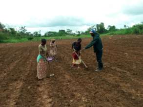 Land bed preparation of Maize