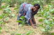 Support 180 households to live after Covid -19