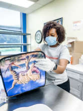 Volunteer packing a Comfort Case