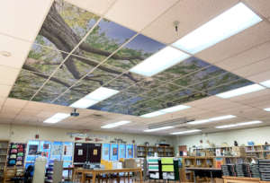 Gage Middle School Library