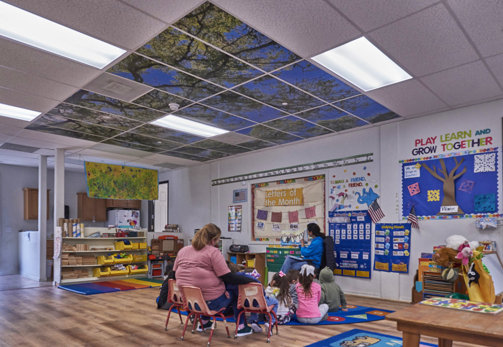 Enhancing Education With Tree Ceilings