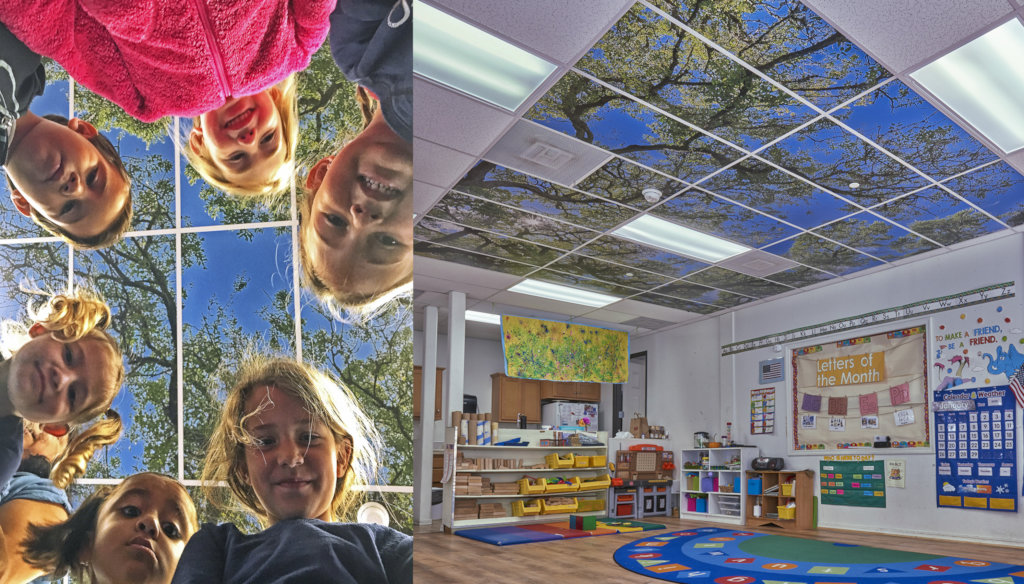 Enhancing Education With Tree Ceilings