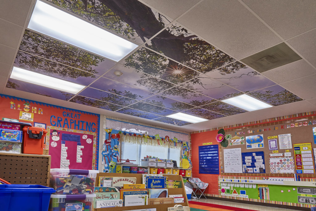 Enhancing Education With Tree Ceilings