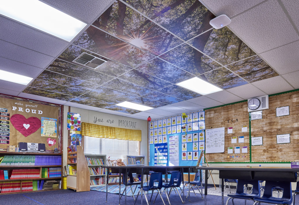 Enhancing Education With Tree Ceilings